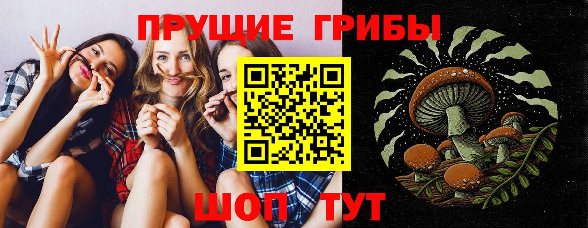 Галлюциногенные грибы Magic Shrooms Удомля